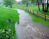 storm water runoff